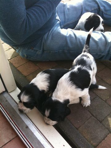 Aan de Toren van Hoogersmilde