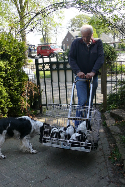 Aan de Toren van Hoogersmilde