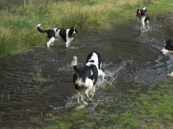 Aan de Toren van Hoogersmilde