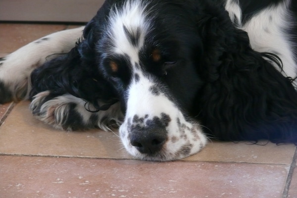 Aan de Toren van Hoogersmilde