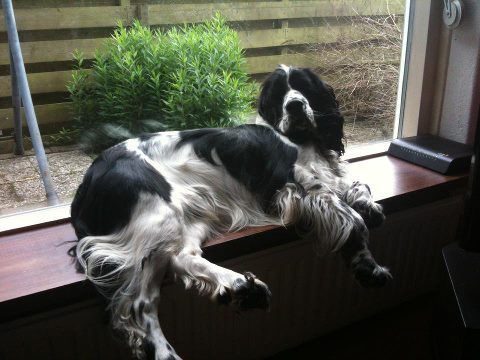 Aan de Toren van Hoogersmilde