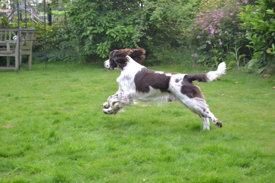 Aan de Toren van Hoogersmilde