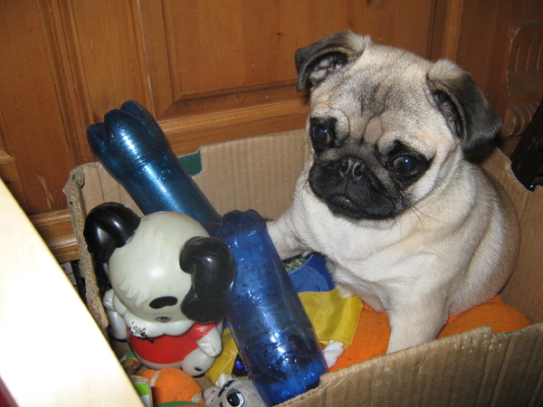 Kailey in haar speelgoeddoos