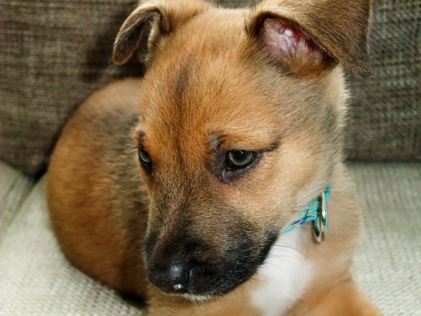 Rowans kleine grote vriendin Myla