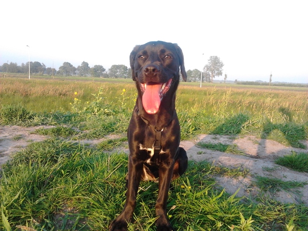 Warmpjes na het hard lopen