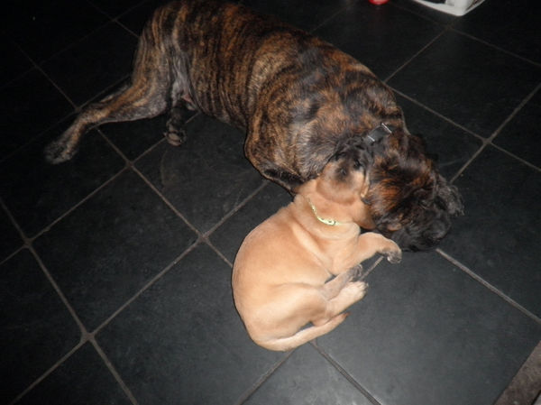 From The Proud Family