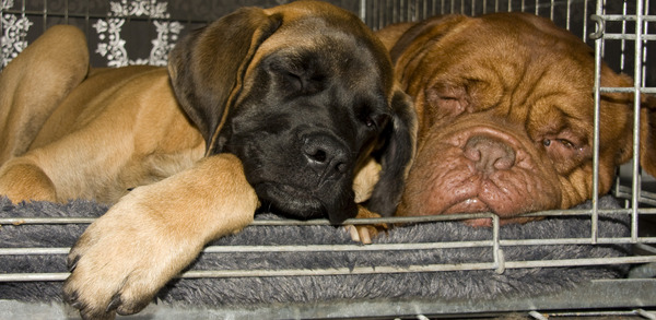 From The Proud Family