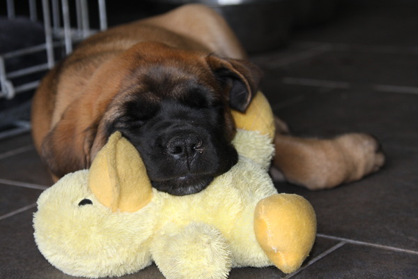 From The Proud Family