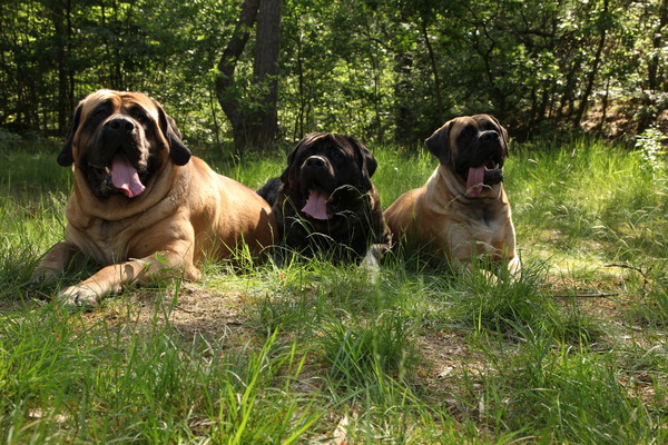 From The Proud Family