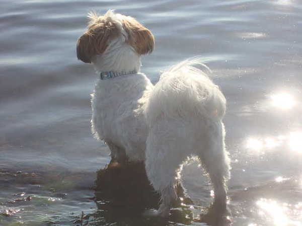 Genieten van de Zeeuwse avondzon