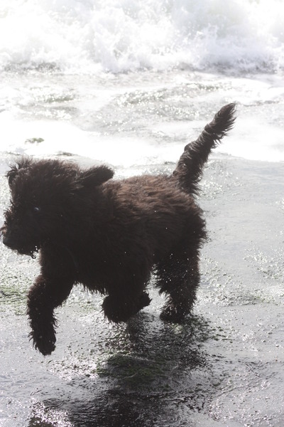 Voor het eerst naar zee