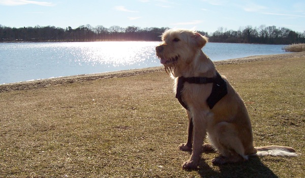 Lekker genieten van het laagstaande zonnetje...