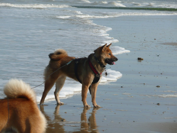 Yuuka bij zonsondergang...