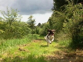 Jikke ♥ Let the sun shine!