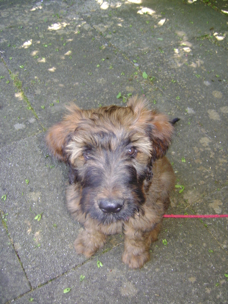 STIL ZITTEN IS NIET HAAR BESTE KANT