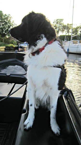 Op 't bootje in de mooie avondzon genieten.