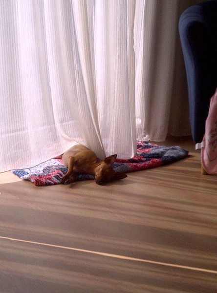 De laatste zonnestralen in de kamer opvangen!!