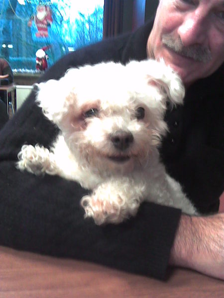 Geborgen tussen baasje zijn armen.