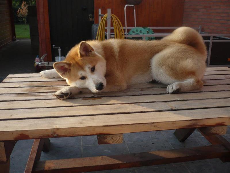 Ben ik niet schattig?