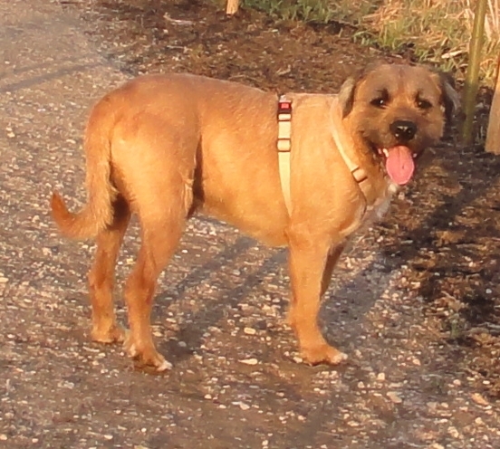 Bruno laat zien hoe mooi rood kan zijn!