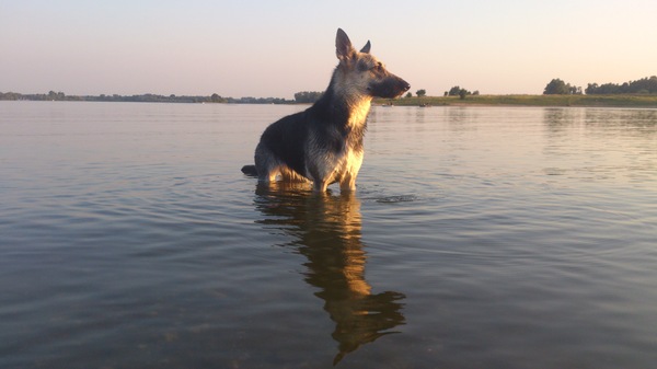 Pootjes koelen in de warme avondzon