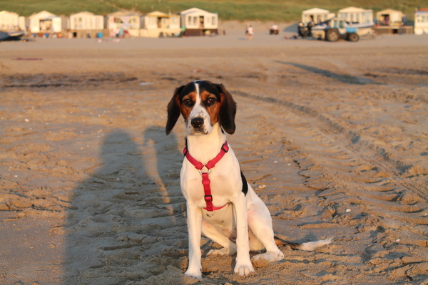 Mara voor de huisjes op het strand