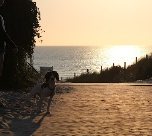 Mara op weg naar de zee