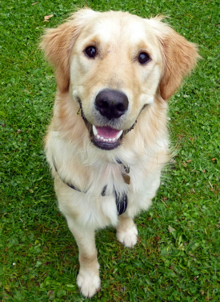 zo alert kijken naar het vrouwtje