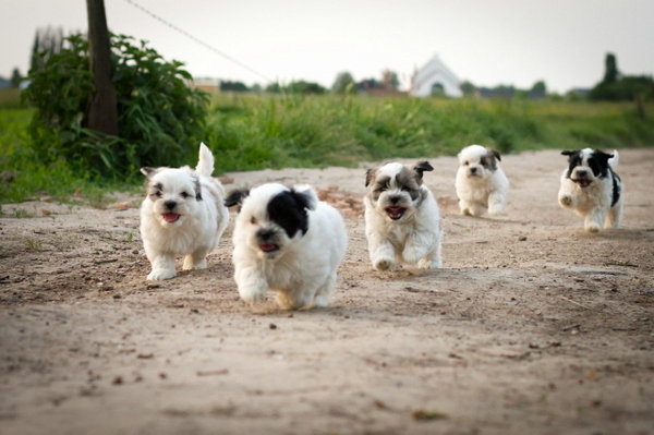 Dempsey met zijn broer en zusjes