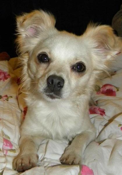 mijn lieve mooie meid