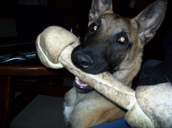 trotse close up met bot