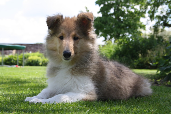 Lekker genieten van mijn tuin