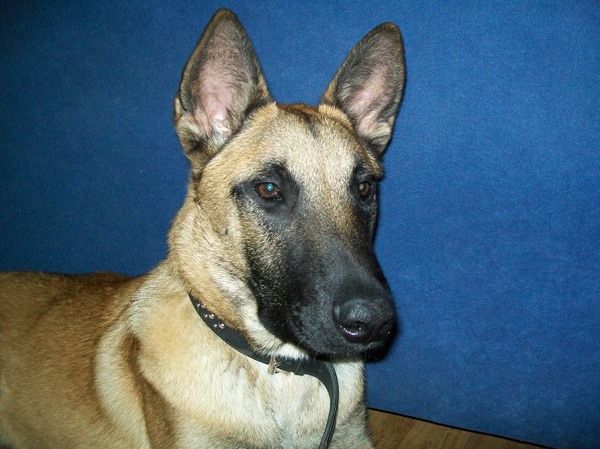 mooi koppie van me!!