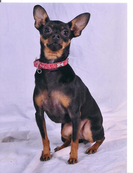 Laila bij de fotograaf