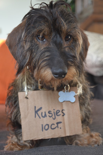 Koninginnendagplaatje