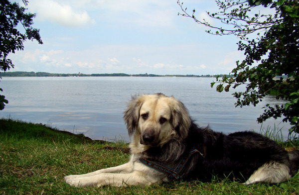 Pim in Duitsland aan het water