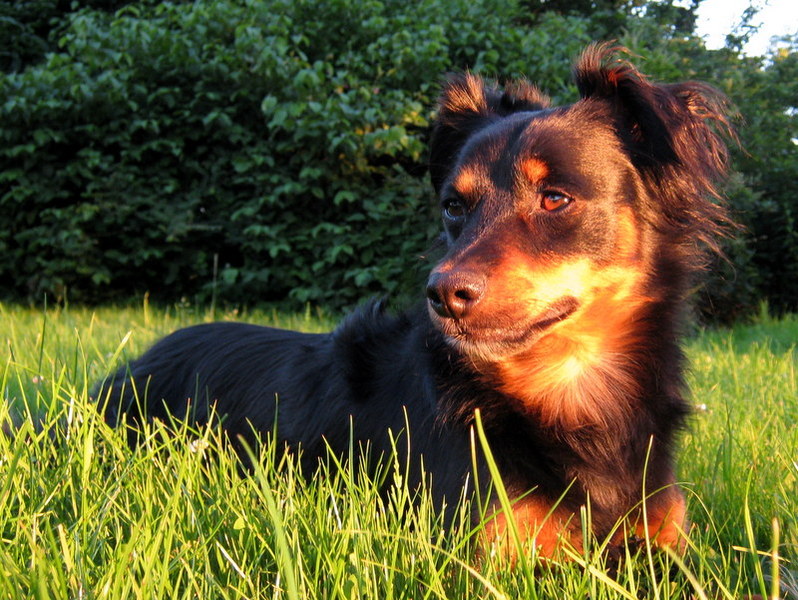 Blik gericht naar binnen