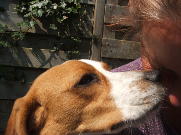 Liefde tussen hond en baas.