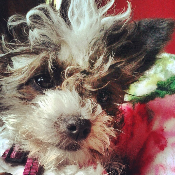 17 juli 2012, bijna 5 maanden oud