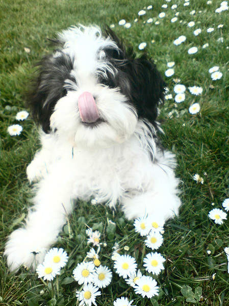 wat een plaatje hè. 