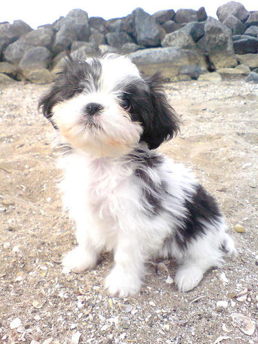 wat een plaatje hè. 