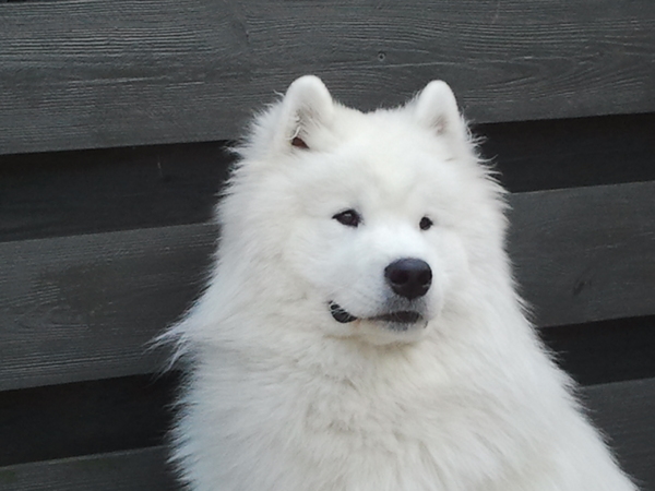 bijkomen van een warme dag