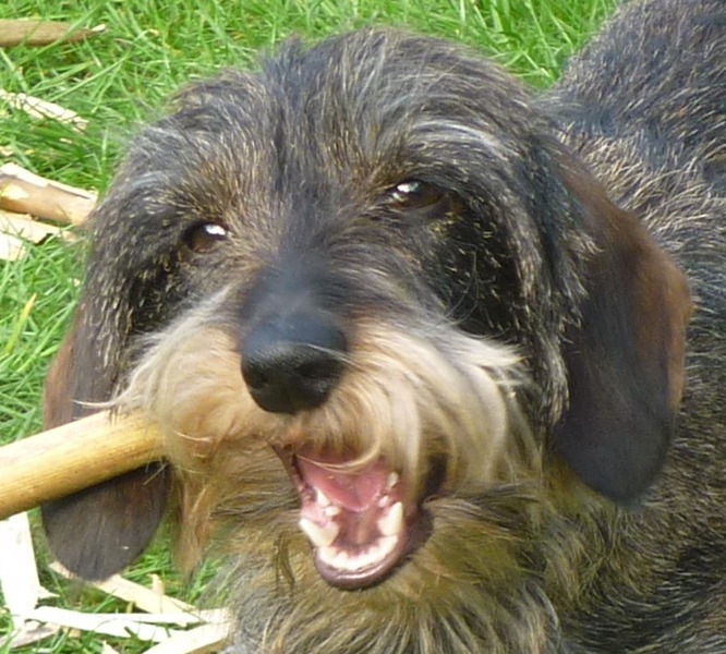 zo houd je witte tandjes