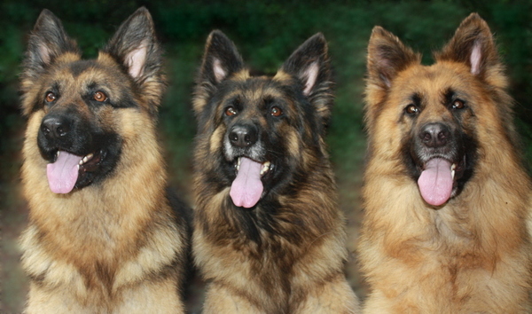 djillzy,desteny ,liss