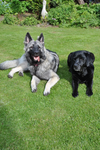 even uitrusten na het spelen