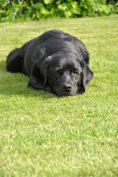 heerlijk genieten van het zonnetje