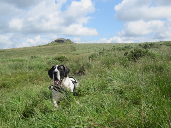 Zusje voor Kestor rock