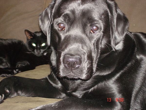 Onbewerkt,de liefste&de knapste....,met vriendje Butch