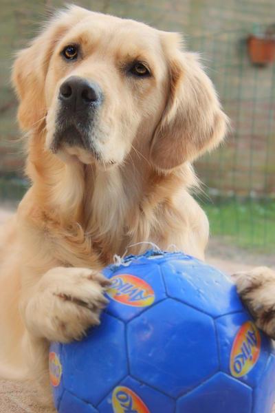 Kiki beschermt haar bal