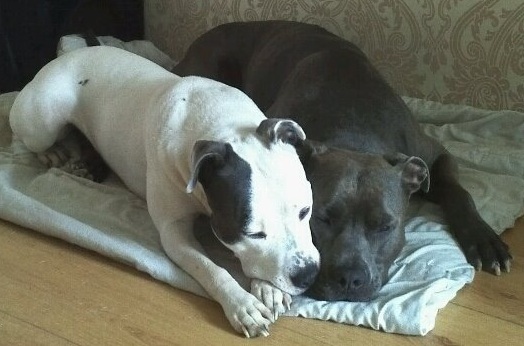 wat een liefdes plaatje